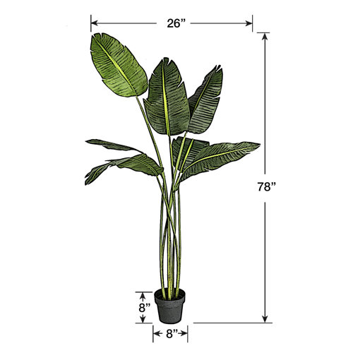 Birch Lane™ 78'' Faux Banana Leaf Tree in Pot & Reviews Wayfair